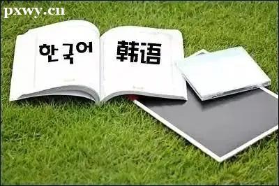 如何選擇韓語培訓(xùn)機(jī)構(gòu)呢